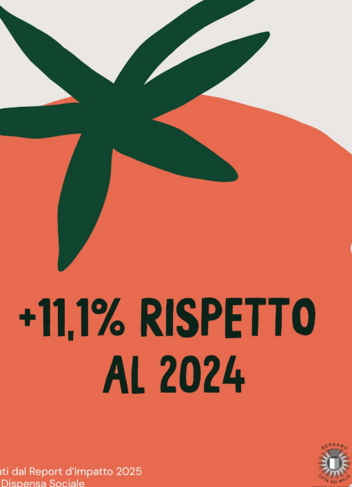 Screenshot 2026 02 17 112808