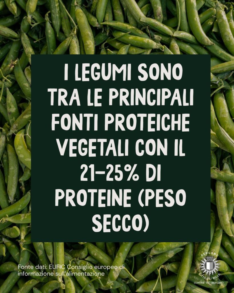 WhatsApp Image 2026 02 10 at 10.10.03 AM 1