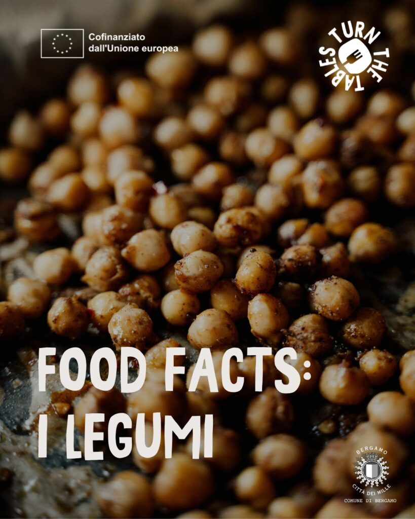 WhatsApp Image 2026 02 10 at 10.10.03 AM