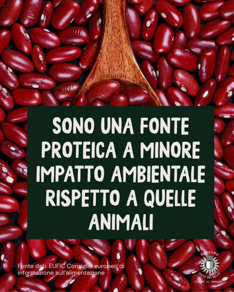 WhatsApp Image 2026 02 10 at 10.10.04 AM 1