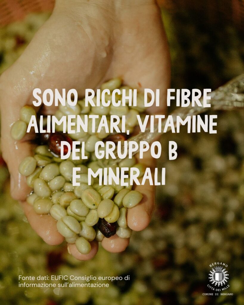 WhatsApp Image 2026 02 10 at 10.10.04 AM