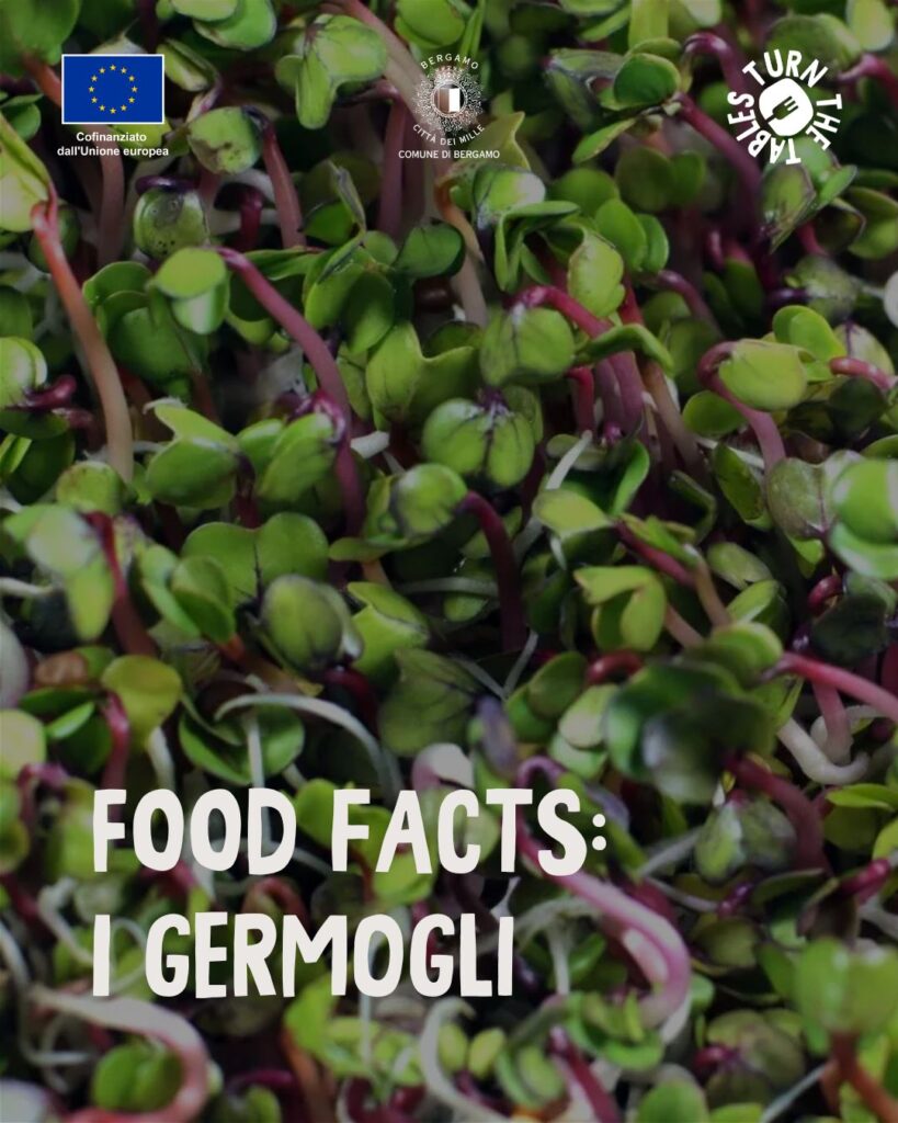 WhatsApp Image 2026 02 25 at 12.40.58 PM 2