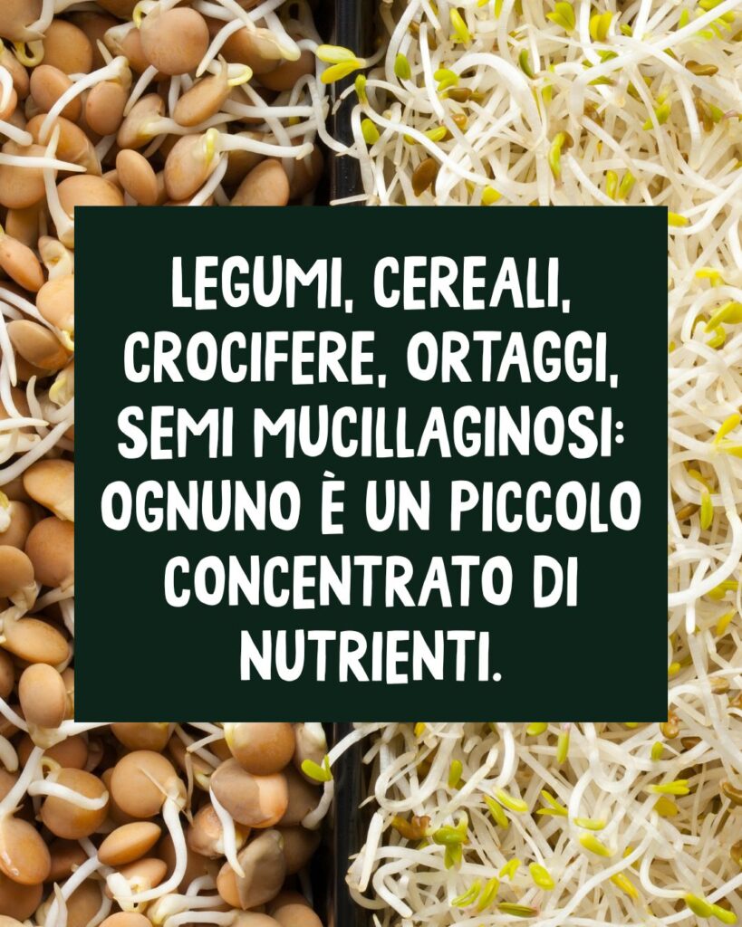 WhatsApp Image 2026 02 25 at 12.40.58 PM 3