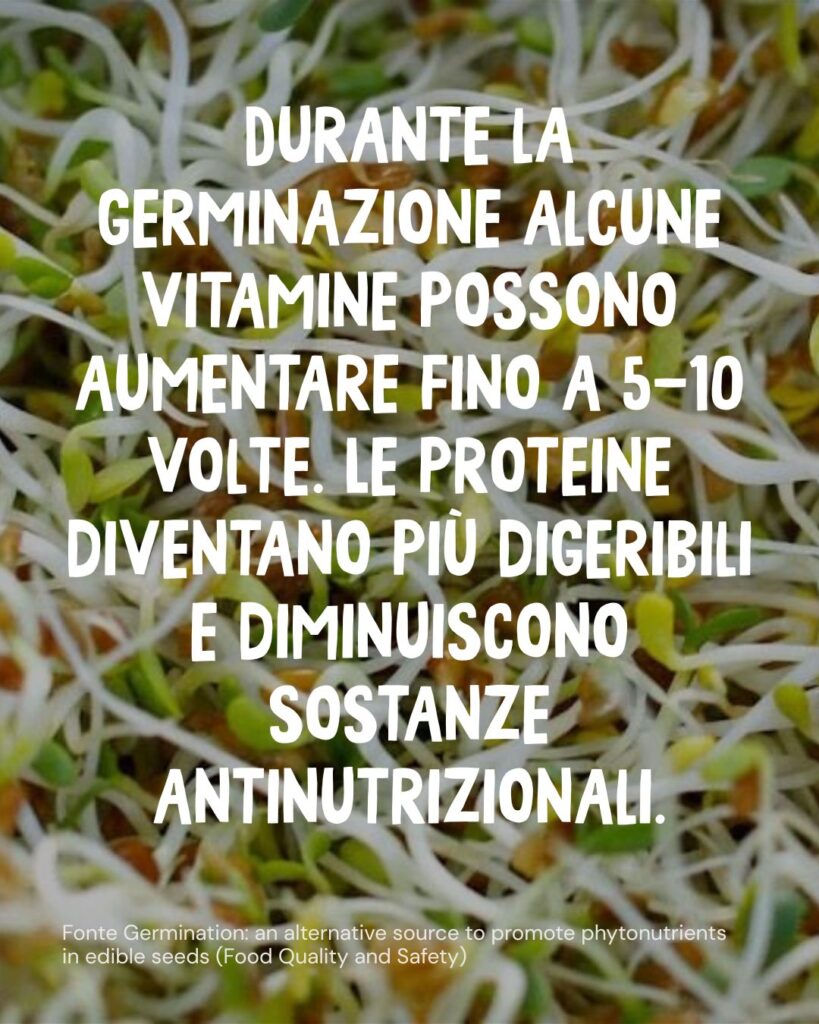 WhatsApp Image 2026 02 25 at 12.40.59 PM 2