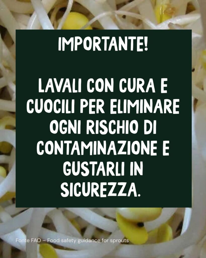 WhatsApp Image 2026 02 25 at 12.41.01 PM 2