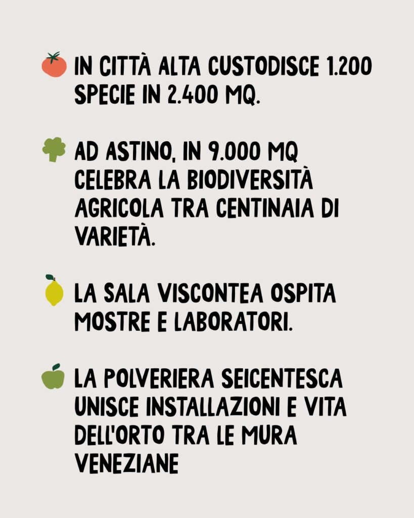 WhatsApp Image 2026 03 04 at 5.10.23 PM 1