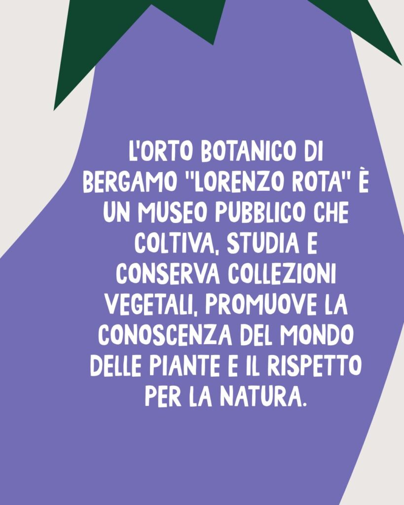 WhatsApp Image 2026 03 04 at 5.10.24 PM 1