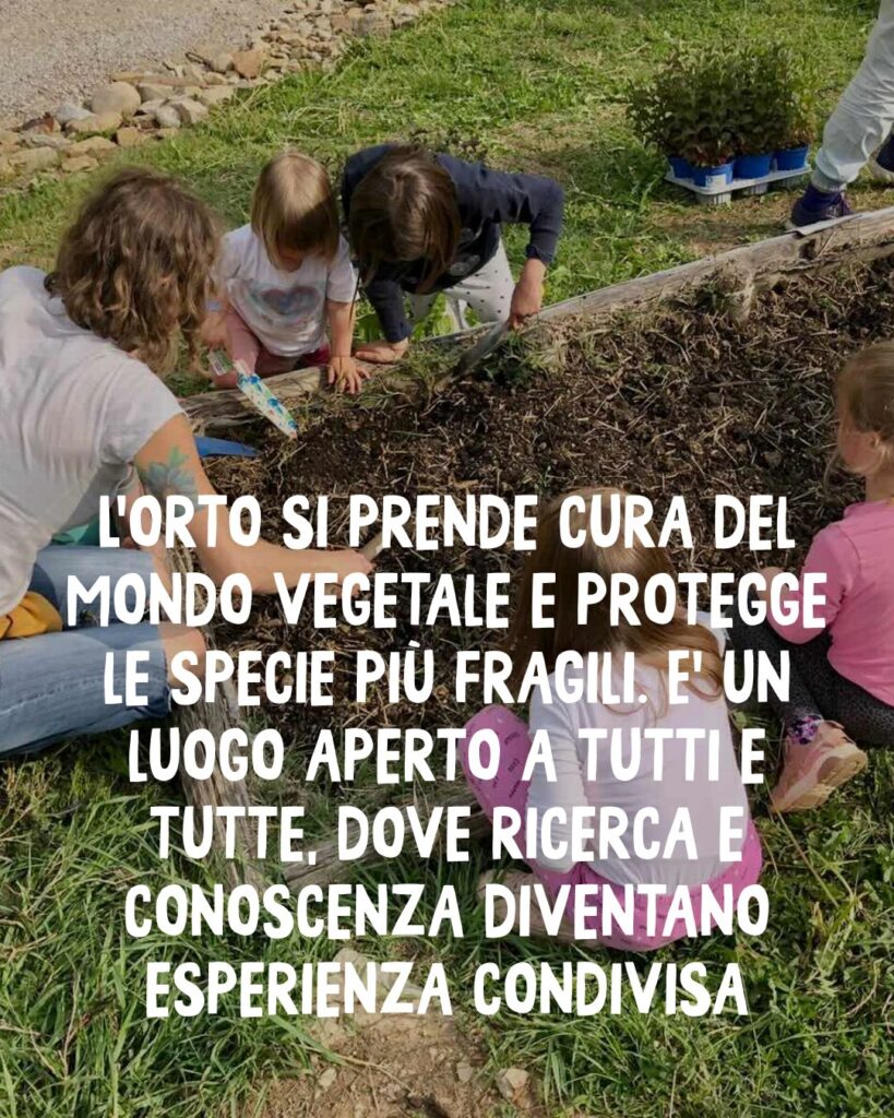 WhatsApp Image 2026 03 04 at 5.10.24 PM 3