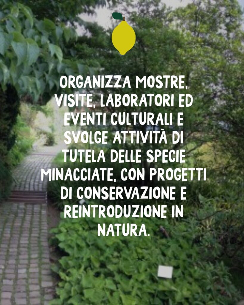 WhatsApp Image 2026 03 04 at 5.10.24 PM 4