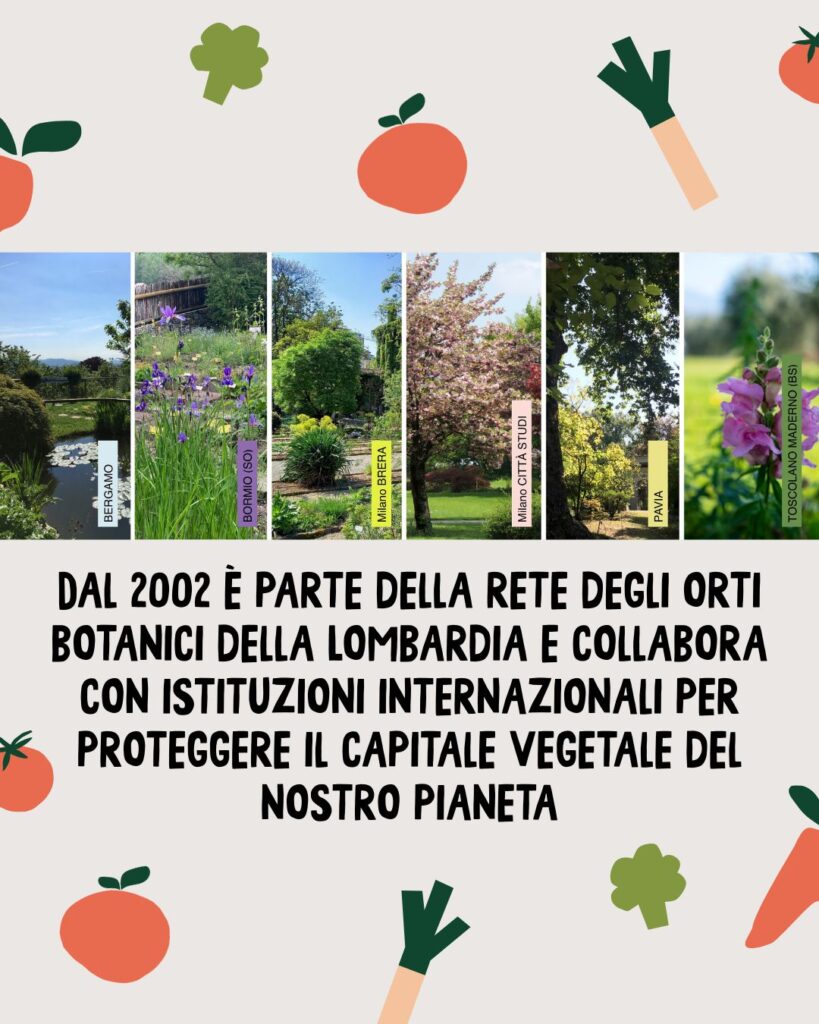 WhatsApp Image 2026 03 04 at 5.10.24 PM 5