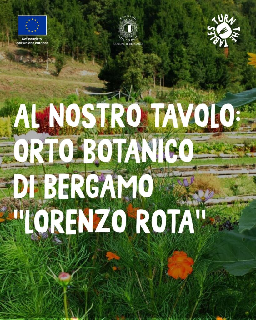 WhatsApp Image 2026 03 04 at 5.10.24 PM