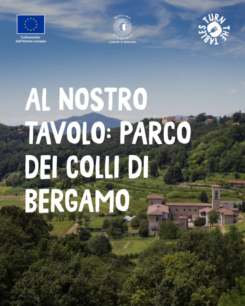 Il Parco dei Colli di Bergamo: Oltre il polmone verde, una visione strategica per il territorio 1 1 9