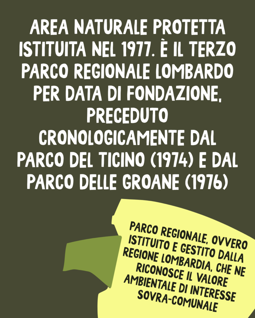 Il Parco dei Colli di Bergamo: Oltre il polmone verde, una visione strategica per il territorio 2 2 12