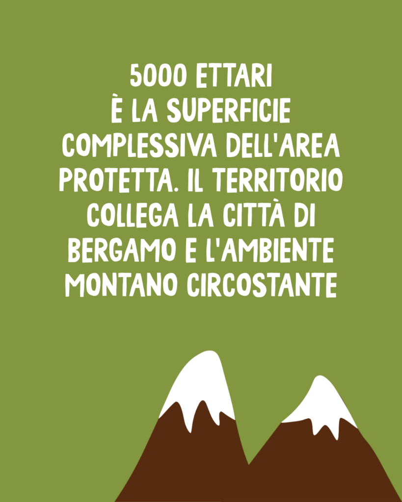 Il Parco dei Colli di Bergamo: Oltre il polmone verde, una visione strategica per il territorio 3 3 10