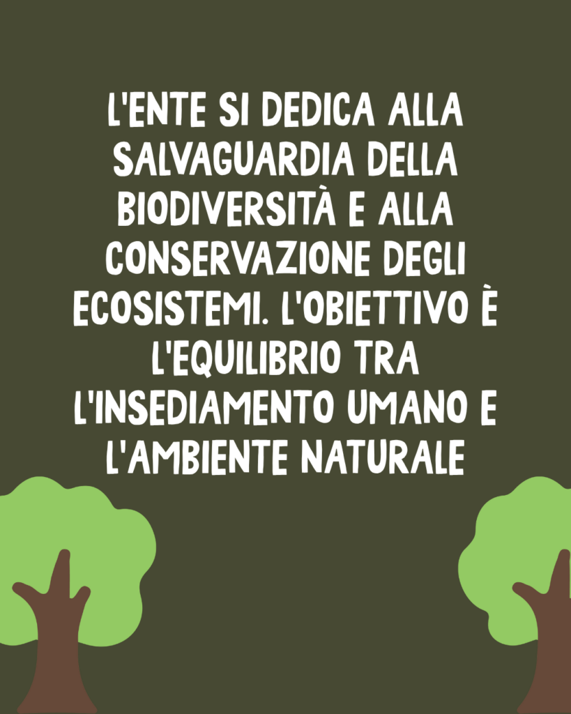 Il Parco dei Colli di Bergamo: Oltre il polmone verde, una visione strategica per il territorio 5 5 8