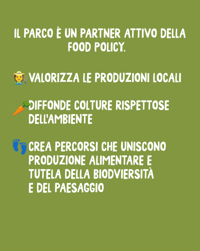 Il Parco dei Colli di Bergamo: Oltre il polmone verde, una visione strategica per il territorio 6 6 8