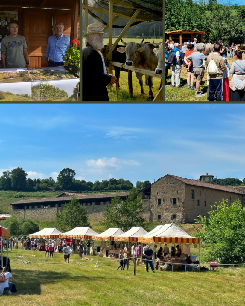 Il Parco dei Colli di Bergamo: Oltre il polmone verde, una visione strategica per il territorio 8 8 5