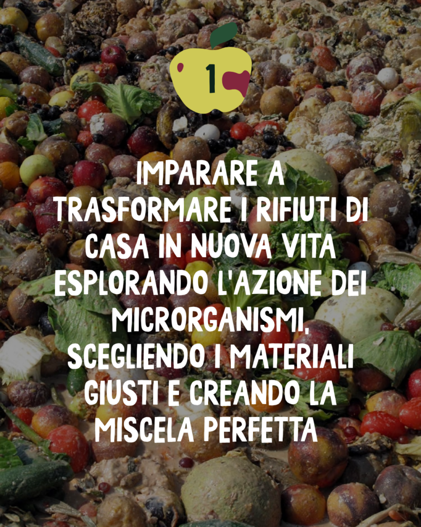 La magia del compost: un percorso in quattro tappe per creare fertilità dai tuoi scarti 4 4 4