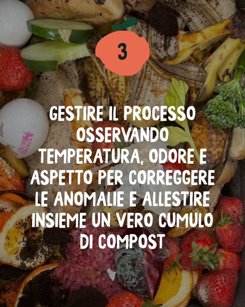 La magia del compost: un percorso in quattro tappe per creare fertilità dai tuoi scarti 6 6 4