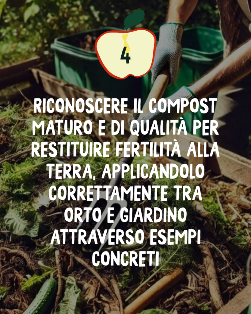 La magia del compost: un percorso in quattro tappe per creare fertilità dai tuoi scarti 7 7 1