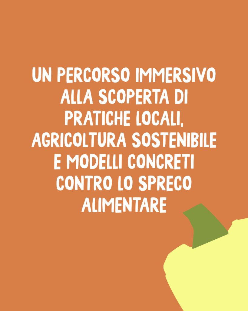Turn the Tables: Innovazione, Sostenibilità e Transizione Ecologica a Brașov 1 2 4