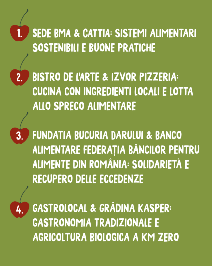 Turn the Tables: Innovazione, Sostenibilità e Transizione Ecologica a Brașov 6 7 4