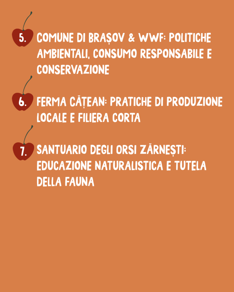 Turn the Tables: Innovazione, Sostenibilità e Transizione Ecologica a Brașov 7 8 4